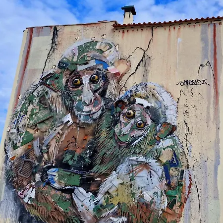 Cidadela Do Viriato Deluxe Διαμέρισμα